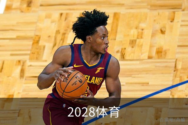 2028体育公司简介展示图